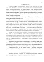 Atsiskaitymai čekiais ir vekseliais 2 puslapis