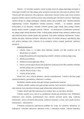 Atsiskaitymai čekiais ir vekseliais 3 puslapis