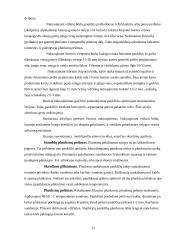 Strutiena, kalakutiena, antiena, žąsiena ir vištiena 11 puslapis