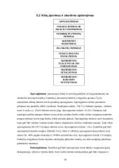 Strutiena, kalakutiena, antiena, žąsiena ir vištiena 10 puslapis