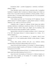 Laivybinės praktikos ataskaita 15 puslapis