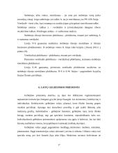 Laivybinės praktikos ataskaita 17 puslapis
