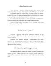 Laivybinės praktikos ataskaita 19 puslapis