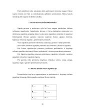Laivybinės praktikos ataskaita 20 puslapis