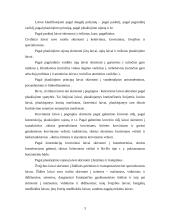 Laivybinės praktikos ataskaita 3 puslapis