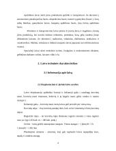 Laivybinės praktikos ataskaita 4 puslapis