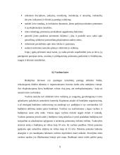Laivybinės praktikos ataskaita 9 puslapis