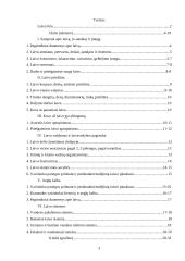 Plaukiojimo praktika: laivas "Helena" 3 puslapis