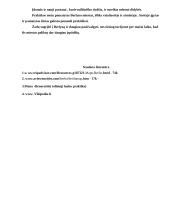 Tolimosios lauko praktikos ataskaita: Berlyno miestas 7 puslapis