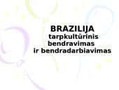 Brazilija: tarpkultūrinis bendravimas ir bendradarbiavimas
