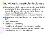 Brazilija: tarpkultūrinis bendravimas ir bendradarbiavimas 13 puslapis