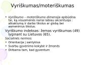 Brazilija: tarpkultūrinis bendravimas ir bendradarbiavimas 14 puslapis