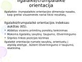 Brazilija: tarpkultūrinis bendravimas ir bendradarbiavimas 15 puslapis