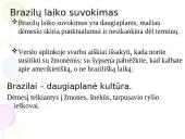 Brazilija: tarpkultūrinis bendravimas ir bendradarbiavimas 3 puslapis