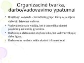 Brazilija: tarpkultūrinis bendravimas ir bendradarbiavimas 8 puslapis