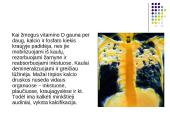 Hipervitaminozė 7 puslapis