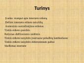 Etiketas internete 2 puslapis