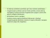 Juridinių asmenų pabaiga 13 puslapis