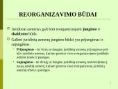 Juridinių asmenų pabaiga 14 puslapis