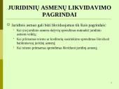 Juridinių asmenų pabaiga 17 puslapis