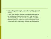 Juridinių asmenų pabaiga 18 puslapis