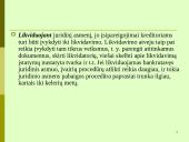 Juridinių asmenų pabaiga 19 puslapis