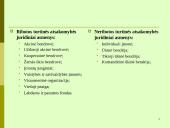 Juridinių asmenų pabaiga 6 puslapis