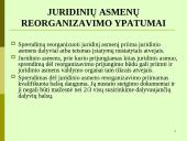 Juridinių asmenų pabaiga 9 puslapis