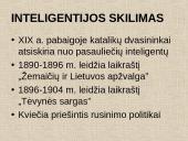 Lietuvių tautos žadinimas 17 puslapis