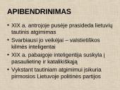 Lietuvių tautos žadinimas 19 puslapis