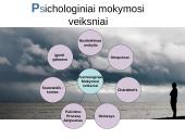 Mokymo procesą sąlygojantys veiksniai 4 puslapis