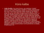 Neverbalinės komunikacijos samprata 11 puslapis