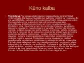 Neverbalinės komunikacijos samprata 14 puslapis
