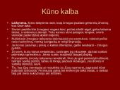 Neverbalinės komunikacijos samprata 15 puslapis