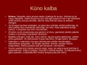 Neverbalinės komunikacijos samprata 16 puslapis