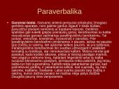 Neverbalinės komunikacijos samprata 17 puslapis