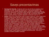 Neverbalinės komunikacijos samprata 19 puslapis
