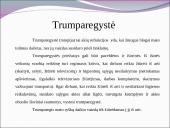 Regos sutrikimai 8 puslapis