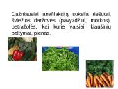 Vaikų alergija maistui 13 puslapis