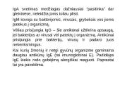 Vaikų alergija maistui 4 puslapis