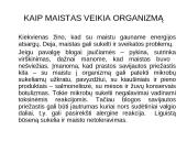 Vaikų alergija maistui 8 puslapis