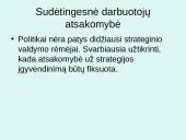 Viešojo sektoriaus organizacijų strateginis valdymas 12 puslapis