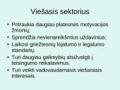 Viešojo sektoriaus organizacijų strateginis valdymas 3 puslapis