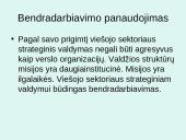 Viešojo sektoriaus organizacijų strateginis valdymas 8 puslapis
