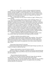 A. Maslou – asmenybės teorija 7 puslapis