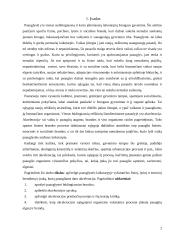 Akceleracijos problematika 2 puslapis