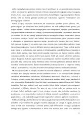 Akceleracijos problematika 11 puslapis