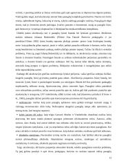 Akceleracijos problematika 12 puslapis
