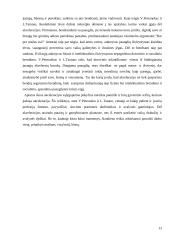Akceleracijos problematika 13 puslapis