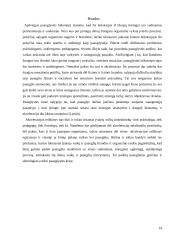 Akceleracijos problematika 14 puslapis